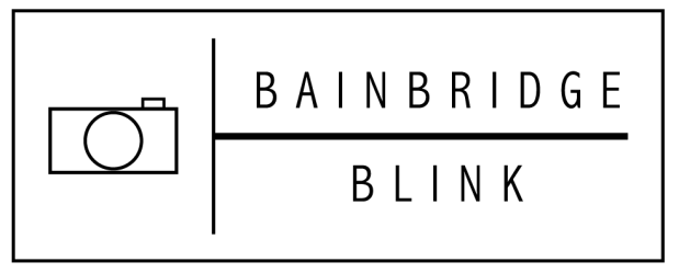 BAINBRIDGE BLINK 72dpi-01